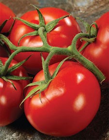 The Superfood To Eat: Tomatoes