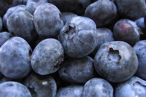 Week 1 Superfood Is… Blueberries