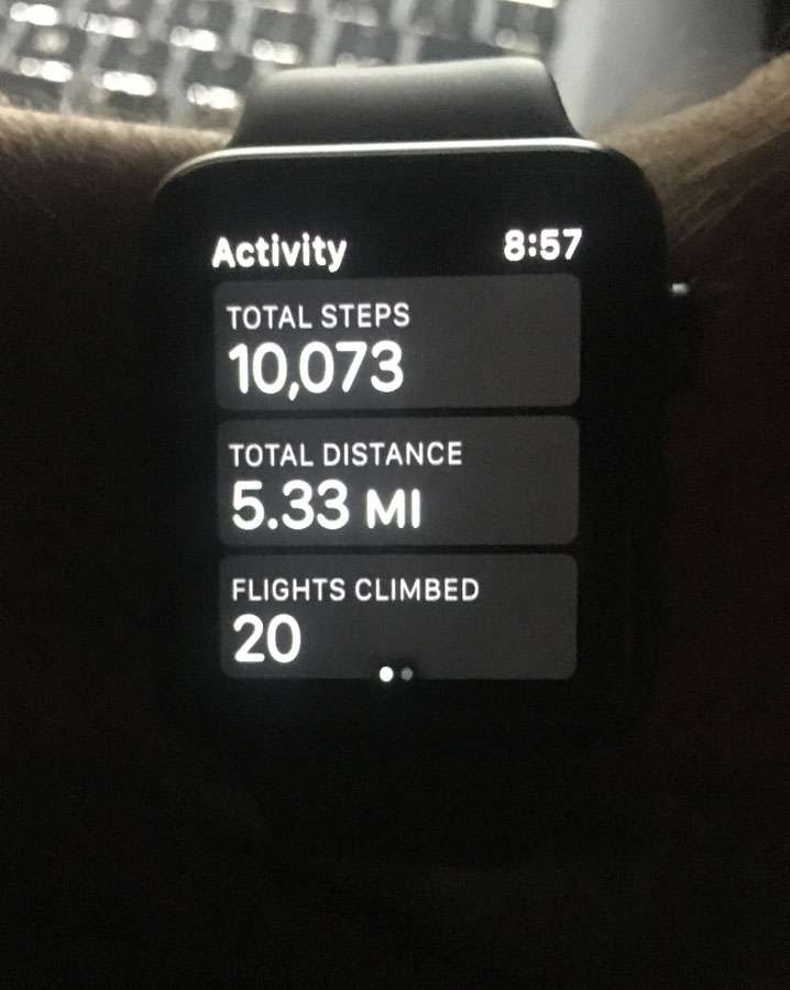 flights climbed apple watch