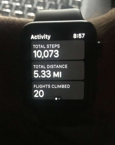 10000 steps top apple watch