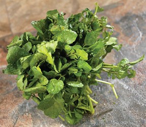 The Superfood To Eat: Watercress