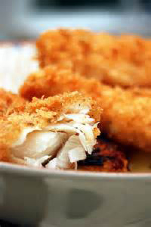 Jeff’s Fish Fillets with Panko